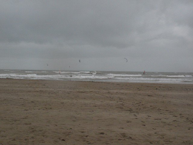 ponente 09-018